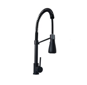 Grifería Extraíble Cocina